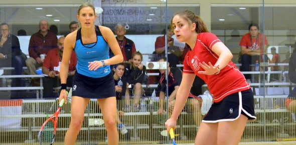 Laura Massaro